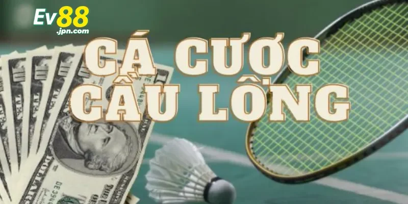 Cá cược cầu lông là gì?