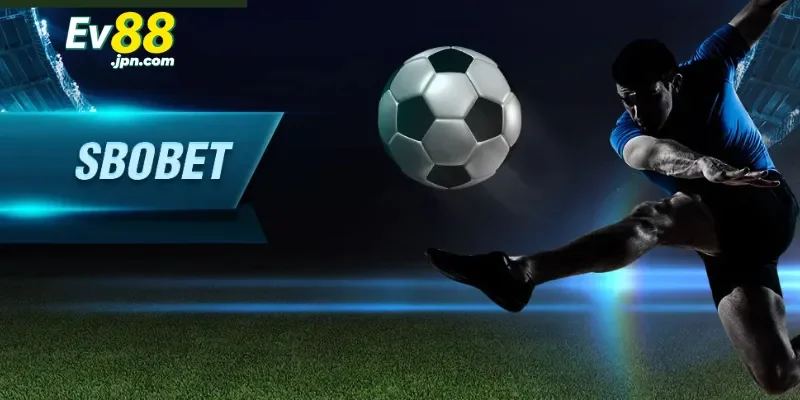Điểm nổi bật của Sbobet Ev88